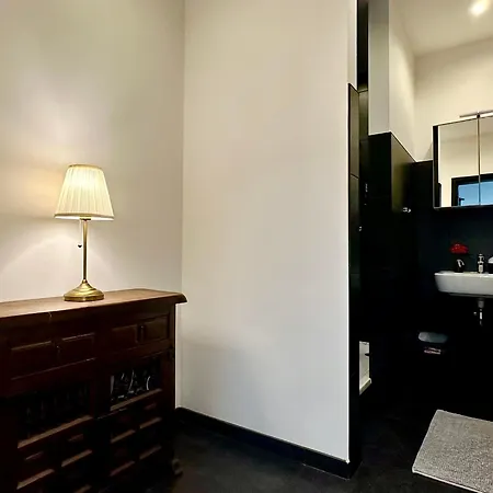 Luxury Centrum By Rikas Apartment Antwerp